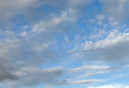 やっと台風の心配がなくなって晴れる♪