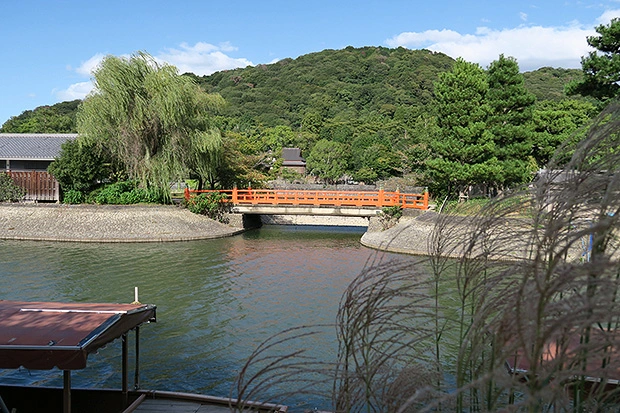 こんな景色