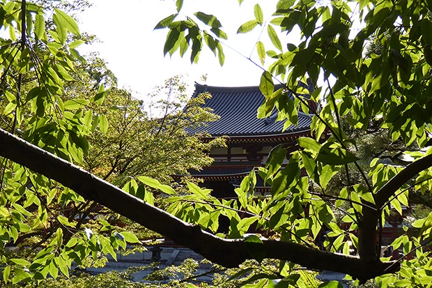 平等院鳳凰堂
