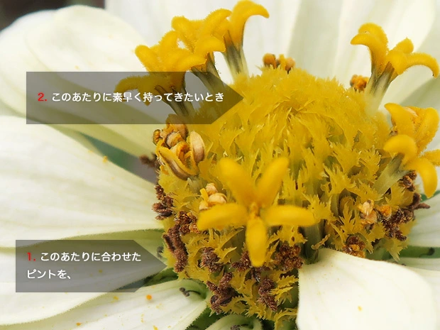 ピントの移動