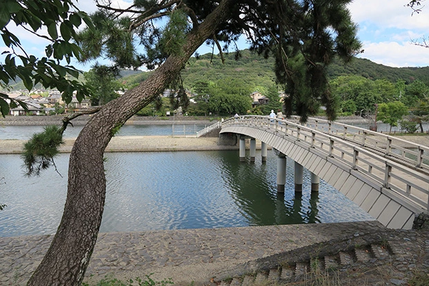 橘橋