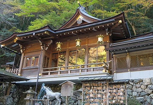 氣生根の宮