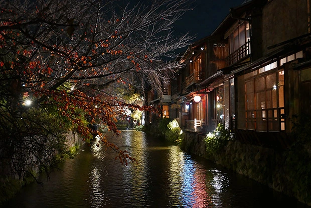 白川沿い