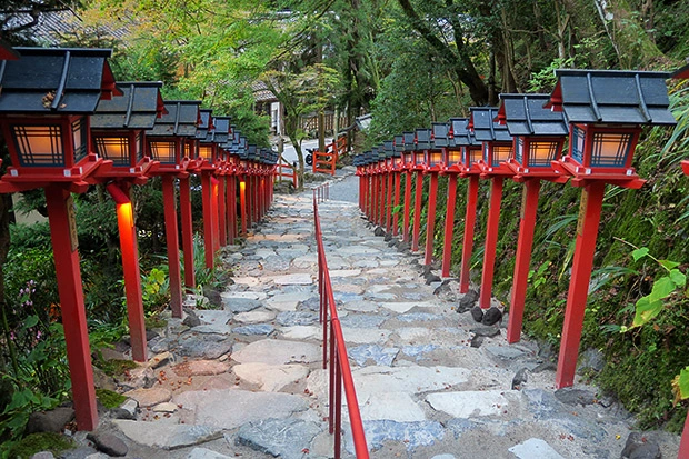 灯火された参道
