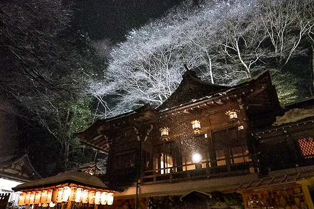 小雪がちらつく夜の氣生根の宮