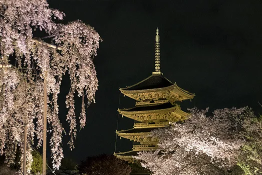 人生がときめく回遊式庭園の魔法