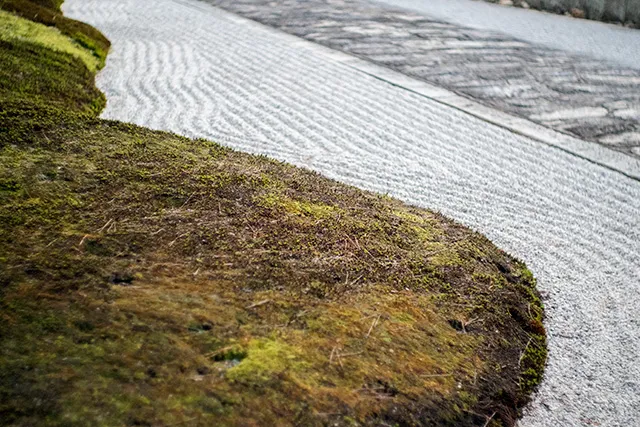 たった三日で少し秋が深まる伝説