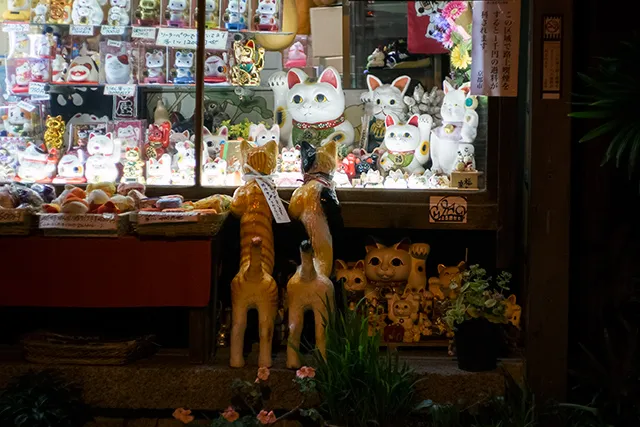 あなたの知らない貧血気味の世界