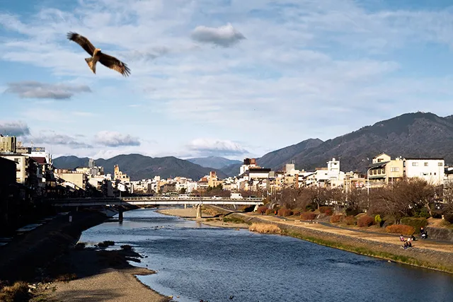歩くだけで寒い鴨川沿いを歩いてみた。