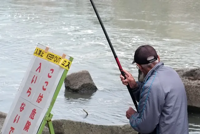 鳥と魚物語