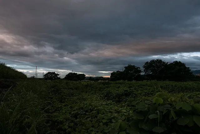 雲の穴から広がる朝など犬に喰わせてしまえ