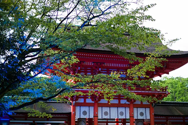 「サイケ化するパワースポット」の夏がやってくる