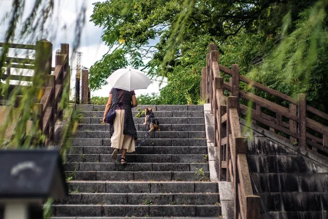 「そうだ、京都行こう」そんなあなたのための十石舟でGo