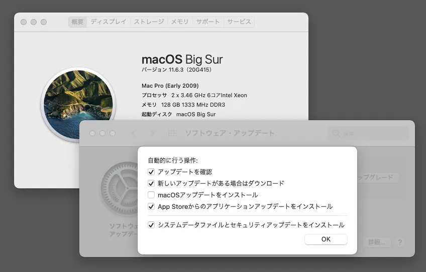 「ほかにもアップデートがあります。」の方にこそ用事がある